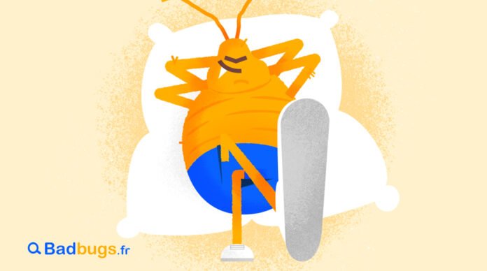 Badbugs.fr launches insurance against bed bugs

