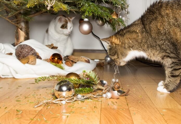 7 tips to prevent your cat from attacking the Christmas tree and knocking it over

