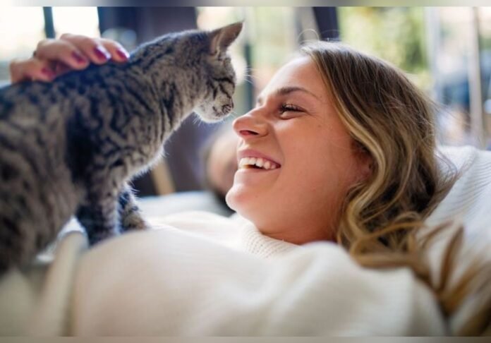 According to this study, cats can understand us when we speak to them in a childlike voice


