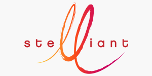 CLAIMS MANAGER ORLEANS M/K STELLIANT Orléans CDD