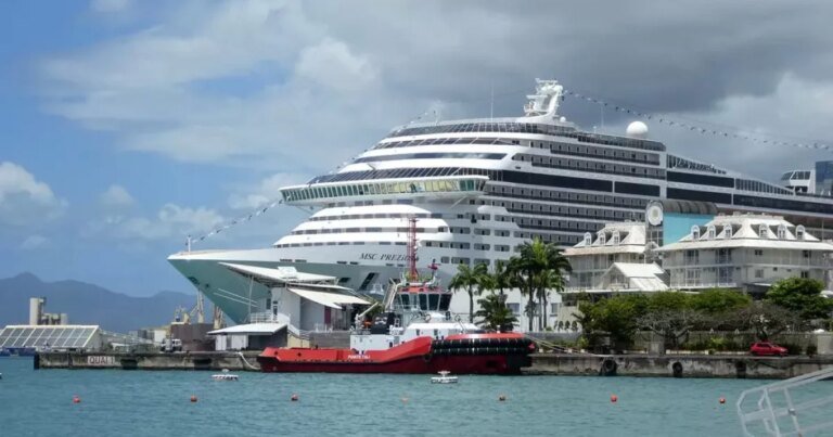 Guadeloupe: The municipality and merchants of Pointe-à-Pitre ready for the return of cruise passengers