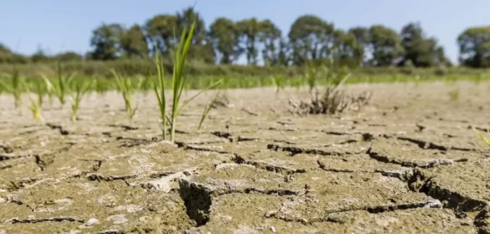 Start Network announces $400,500 drought insurance payout for Senegal

