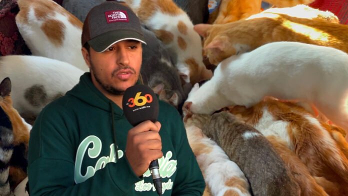The story of Ayoub Ghachaoui, 28, or how a TikToker helps street cats and dogs in Casablanca

