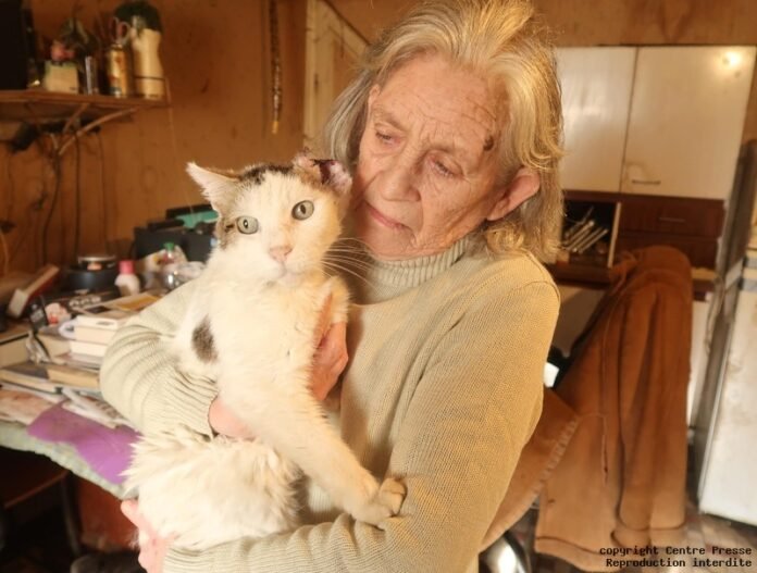 missing for more than three years, the cat Faoet e

