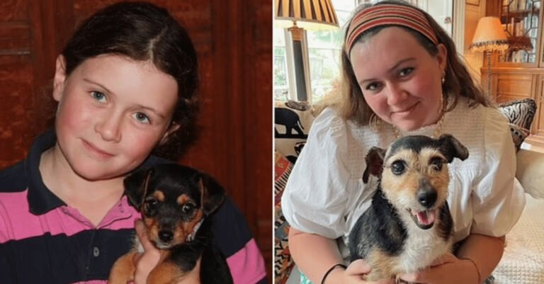 11 years after their dog disappeared, they get an unexpected call