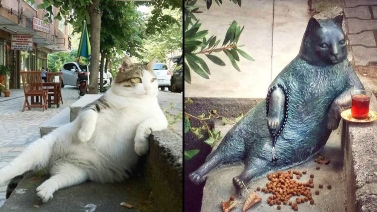 The adorable statue of a cat who is celebrated by his neighbors after leaving this world