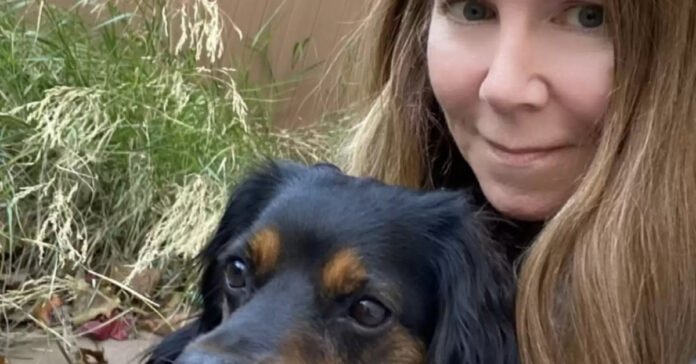 Woman New to Dogs Rescues Lost Puppy (Video)

