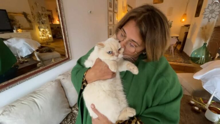 a cat that has been missing for 8 years finds its home