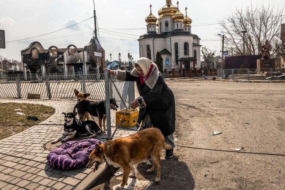 A woman with her dogs during the evacuation of Irpin, March 31, 2022