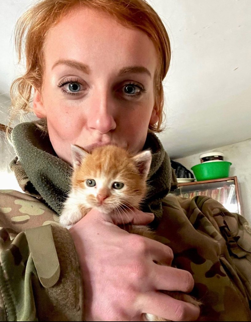 On social networks there are countless pictures of cats sitting on the shoulders of soldiers or wrapped between their arms. 