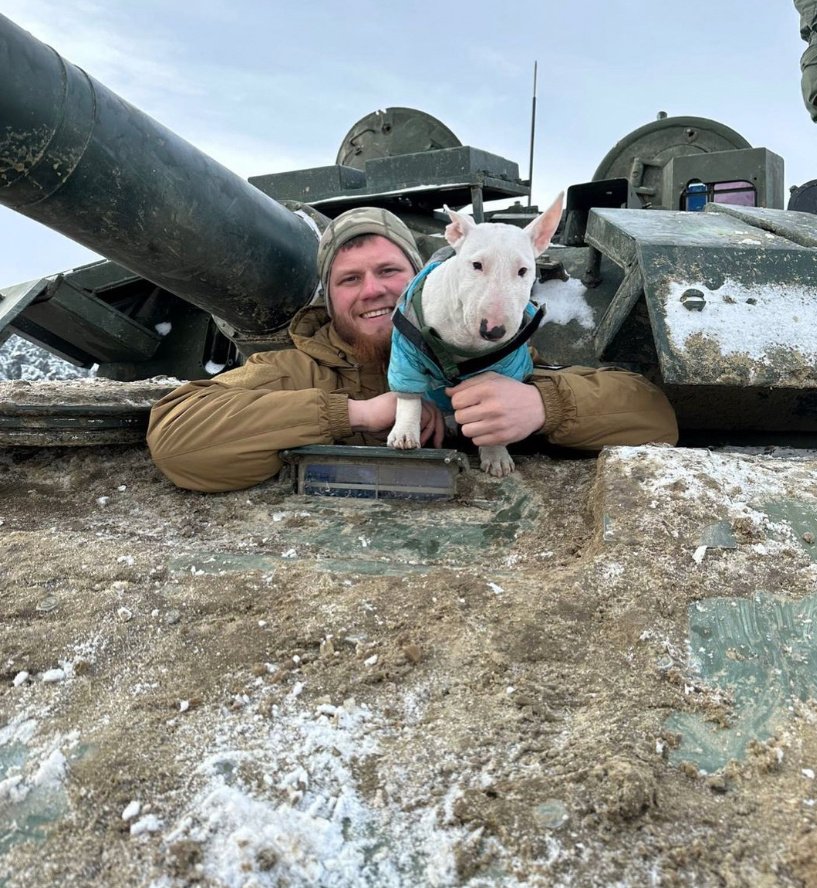 On social networks there are countless pictures of cats sitting on the shoulders of soldiers, or curled up between their arms and purring with pleasure. 