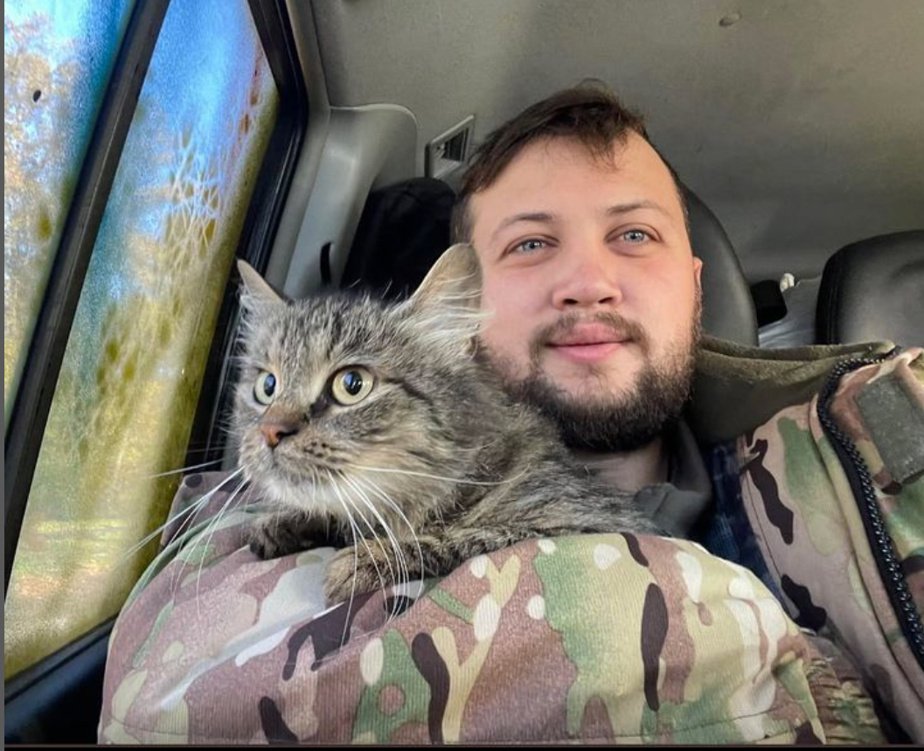 On social networks there are countless pictures of cats sitting on the shoulders of soldiers, or curled up between their arms and purring with pleasure. 