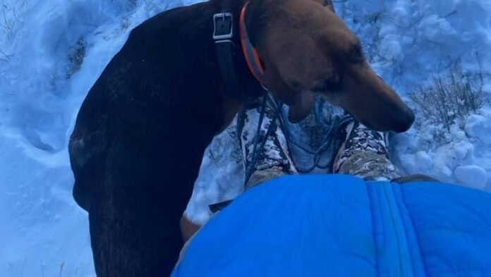 Hautes-Pyrénées: the dog Margot, stuck on a rocky bar, rescued by PGHM

