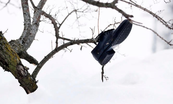 A shoe blown away by the blizzard's strong winds is found in a tree at the University of Buffalo, New York, on December 27, 2022. 