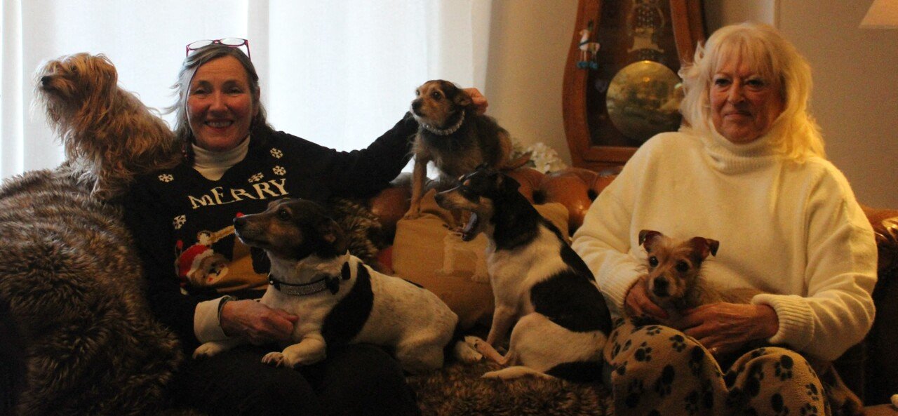 Tansy Forster and Denise Simmonds, with their adopted dogs, Bert, Bella, Teddy, Grace, Henry and Tony.