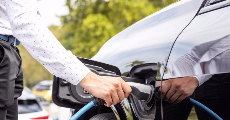 The EU welcomes the temporary continuation of the support conditions for electric cars