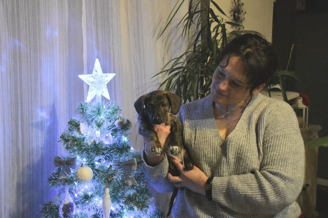 The little puppy found by the journalists from La Montagne in Thiers has just been adopted
