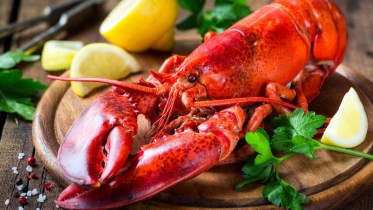 Warning, product recall: contaminated lobster and spiny lobster sold at Lidl and Leclerc!