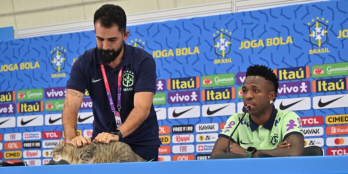 World Cup 2022: when a cat invites itself to a Brazilian press conference

