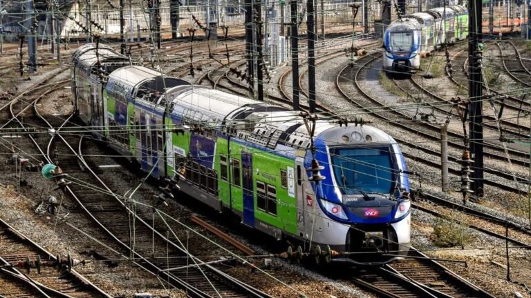 France/Grand Est: A cat identified two people mowed down by a train