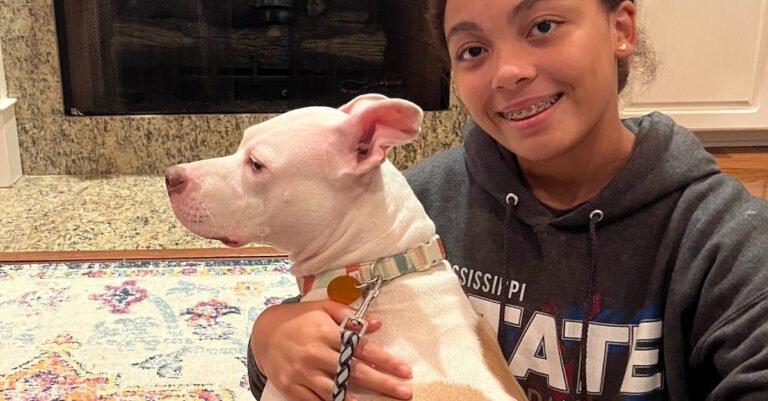 2 months after being rescued from a dog fighting ring, dog discovers family life