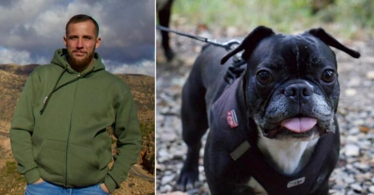 Cyriel has found his dog Baloo, who disappeared due to fireworks on New Year's Eve: 