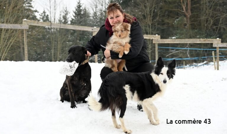 Tence: with La Meute de la forêt she starts dog training and Australian shepherd breeding