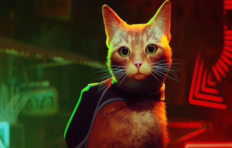 With “Stray”, the best independent video game of 2022, the player “thinks like a cat”