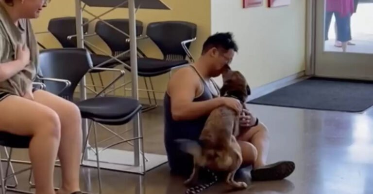 This Dog Was Unhappy Until He Found The People Who Meant The Most To Him (Video)