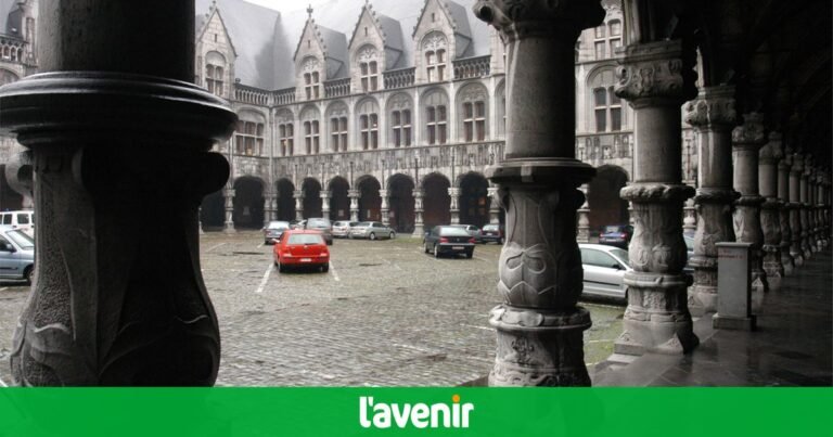 Dozens of insurance fraud in appeal in Liège: 