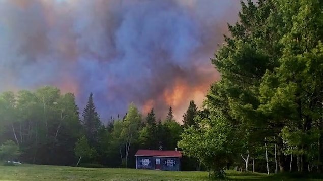 House damaged by a forest fire: useful tips for an insurance claim