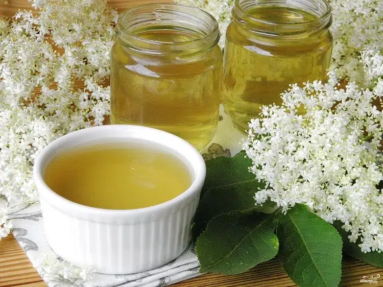 elderberry jelly how to prepare the authentic Alsatian recipe