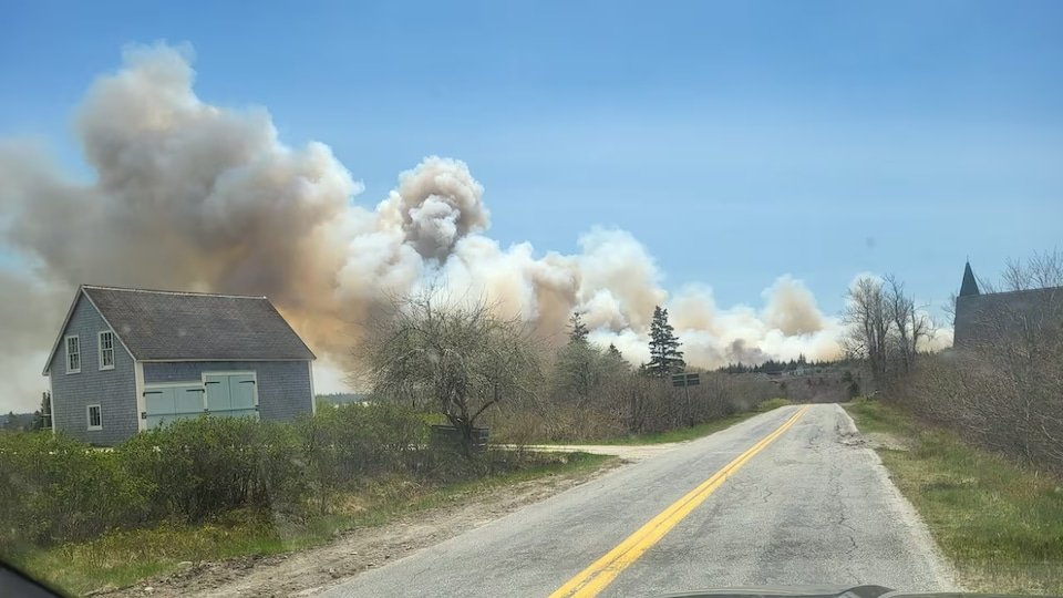 A plume of smoke over a wooded area behind houses.