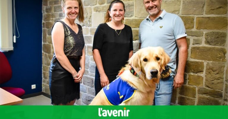 Neo, legal assistance dog, supports victims at Vesdre police area (video)

