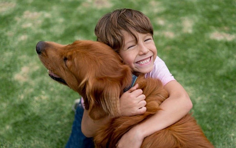 A child runs into a dog in the street, you will never believe what will happen