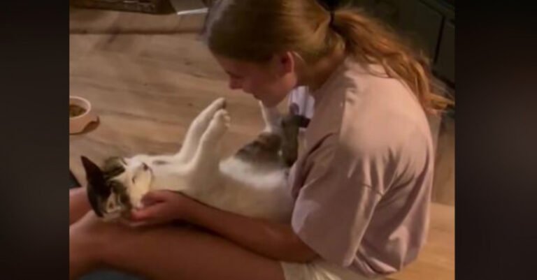 After 5 long years of waiting, she can hug her cat again (video)