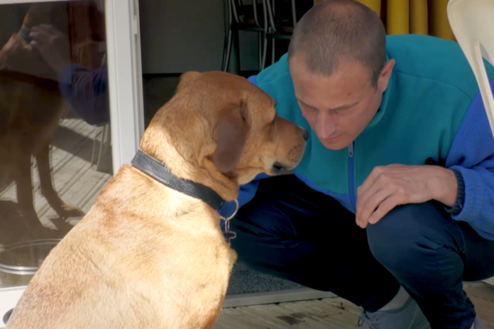 man's best friend saves wounded soldiers

