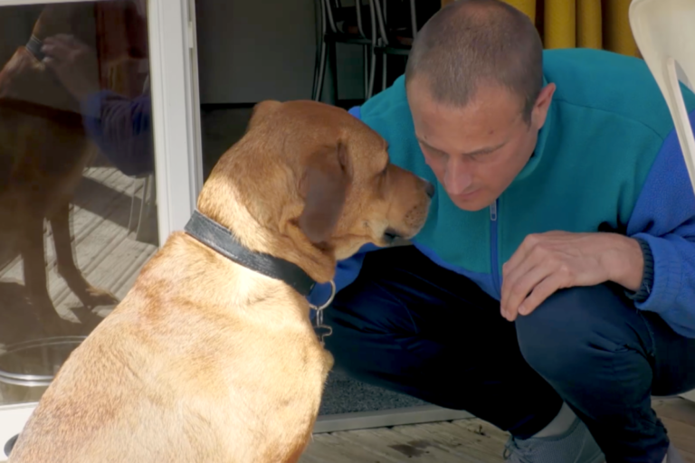 man’s best friend saves wounded soldiers