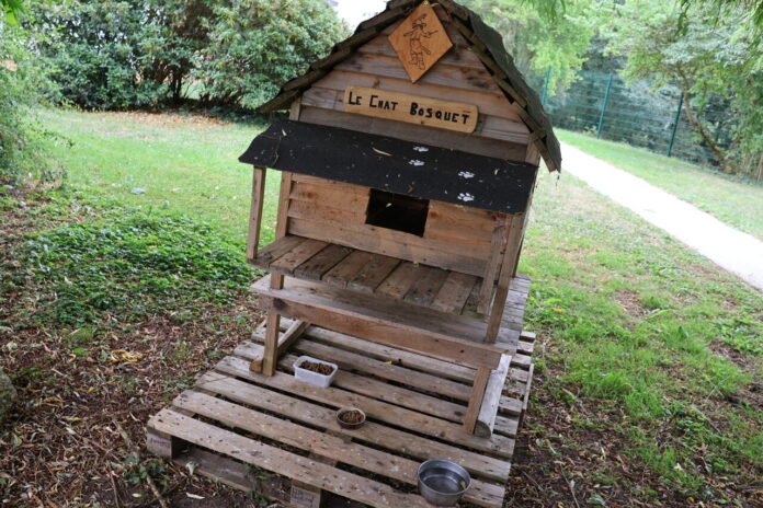 In Beauvais, fun huts have been installed to feed and sterilize stray cats

