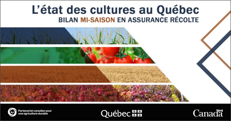 Crop Insurance Mid-Season Report 2023: Outaouais Region

