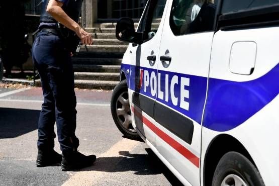 Two dogs and two puppies left in a suitcase, hammer and chisel in hand … The various facts about this Thursday in Auvergne