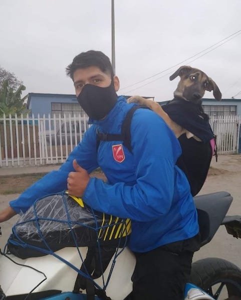 Man meets stray dog ​​while delivering, their fates are forever linked