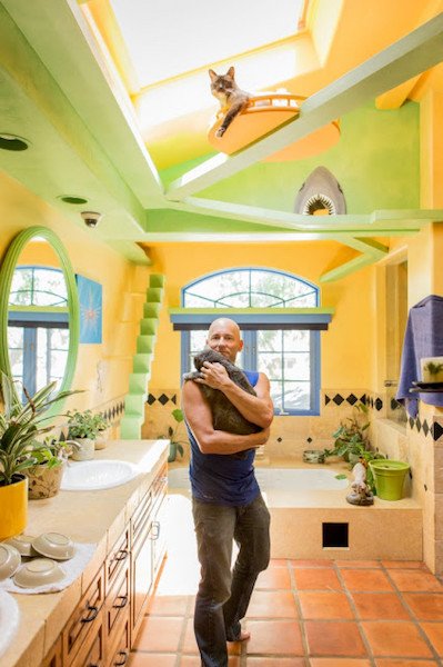 Peter, the hero who turns his house into a paradise for his 22 adopted cats