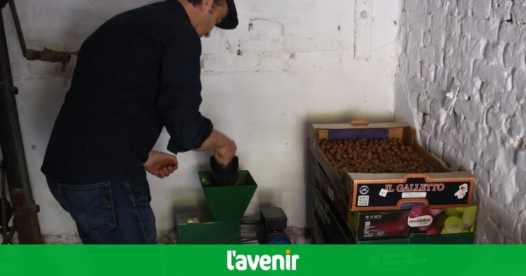 A hazelnut oil, produced by the Leclercq farm in Verlaine, becomes world champion

