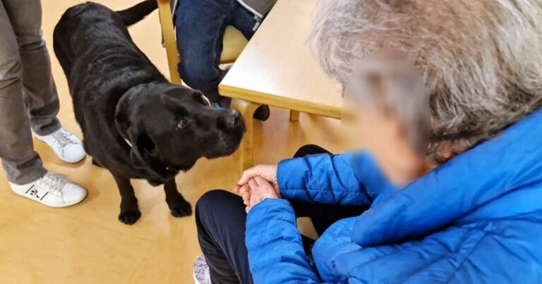  Nancy.  At the Village Saint-Joseph nursing home, you come to work with your dog

