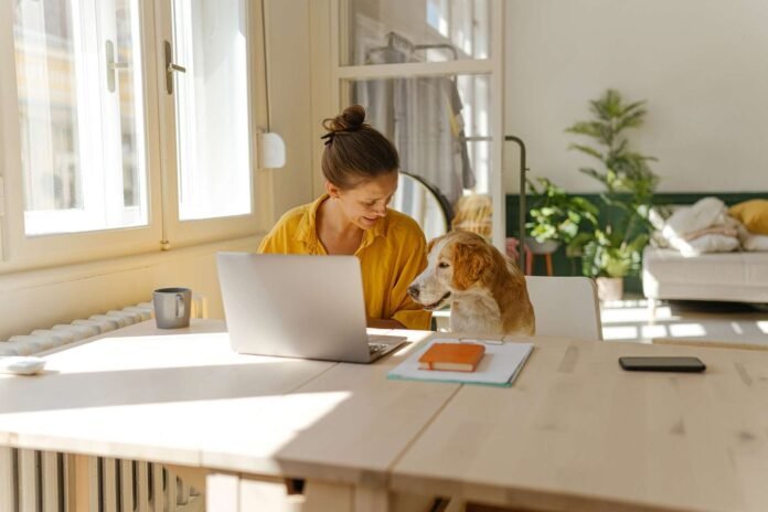 You will soon be able to hold conversations with your dog thanks to artificial intelligence

