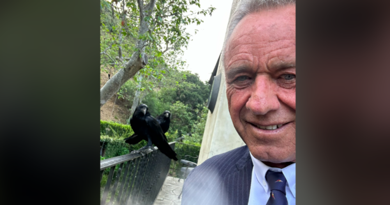 the strange passion for birds of the funny bird Robert F. Kennedy Jr.

