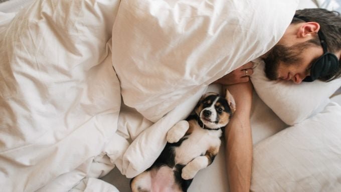 A man sleeps with his dog