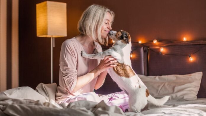  Is it really a good idea to sleep with your cat or dog?  Science's answer

