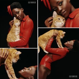 Article illustration: After overcoming her fear of felines on the set of her latest film, actress Lupita Nyong'o decides to adopt her own cat from a shelter